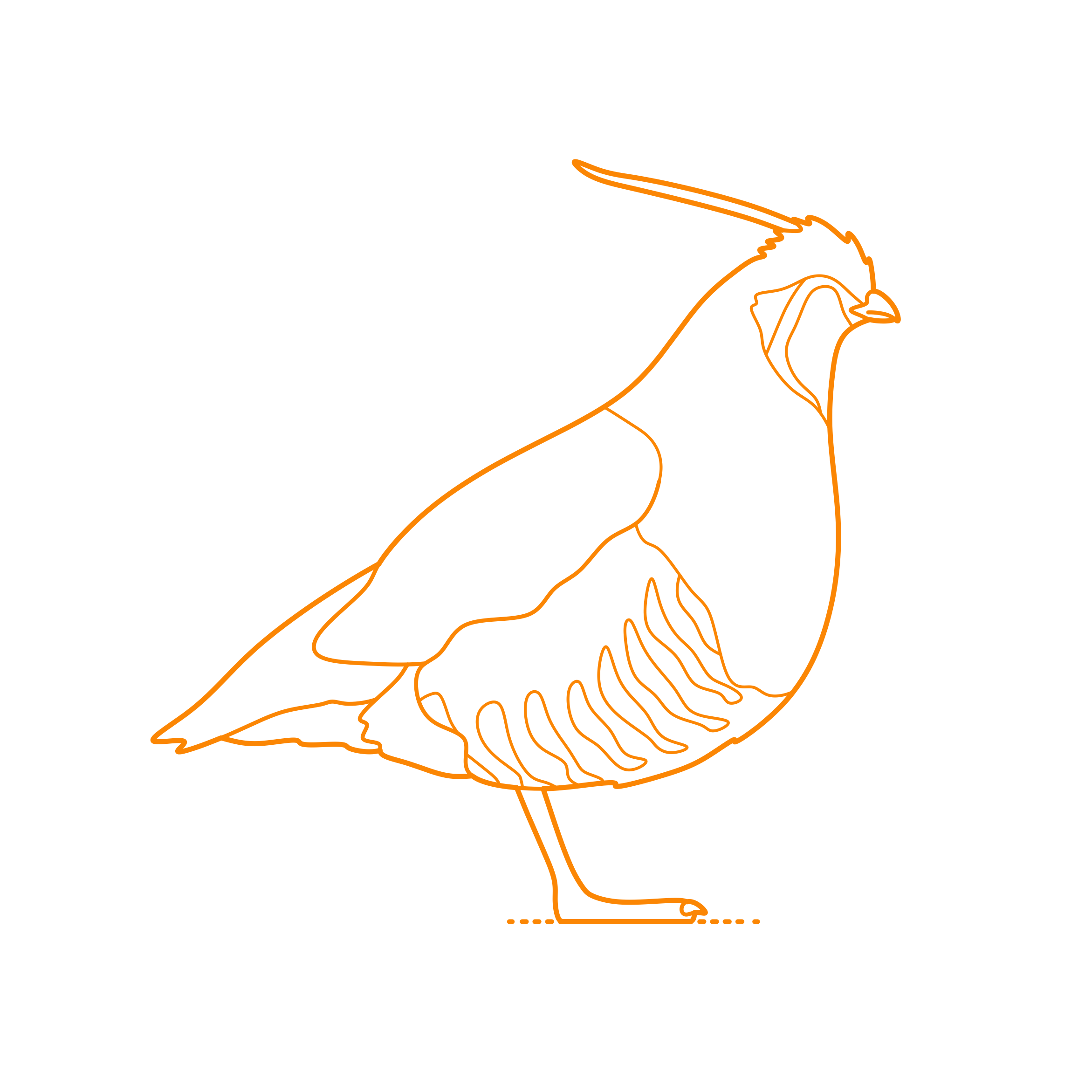 Animals Gamefowl Mountain Quail Sketch Style Svg Vector Free Vectors